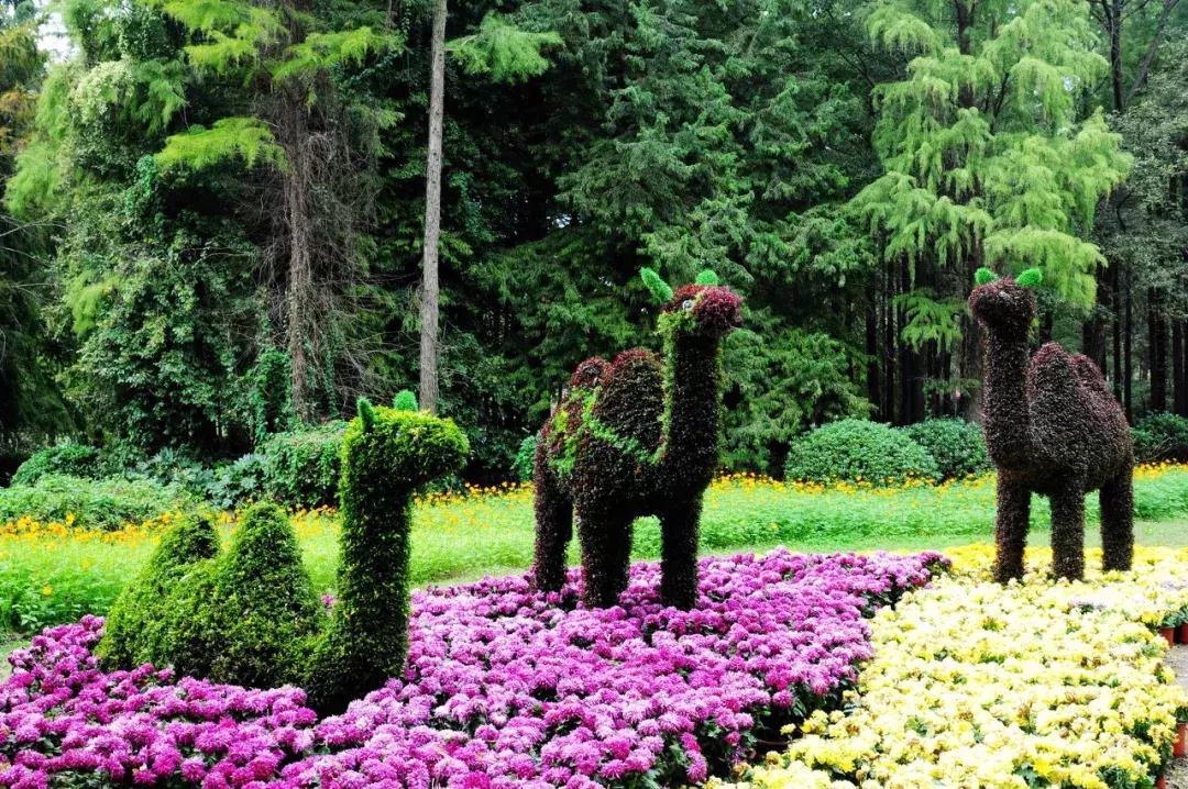 灵谷寺萤火虫7月,灵谷寺萤火虫目前还有吗