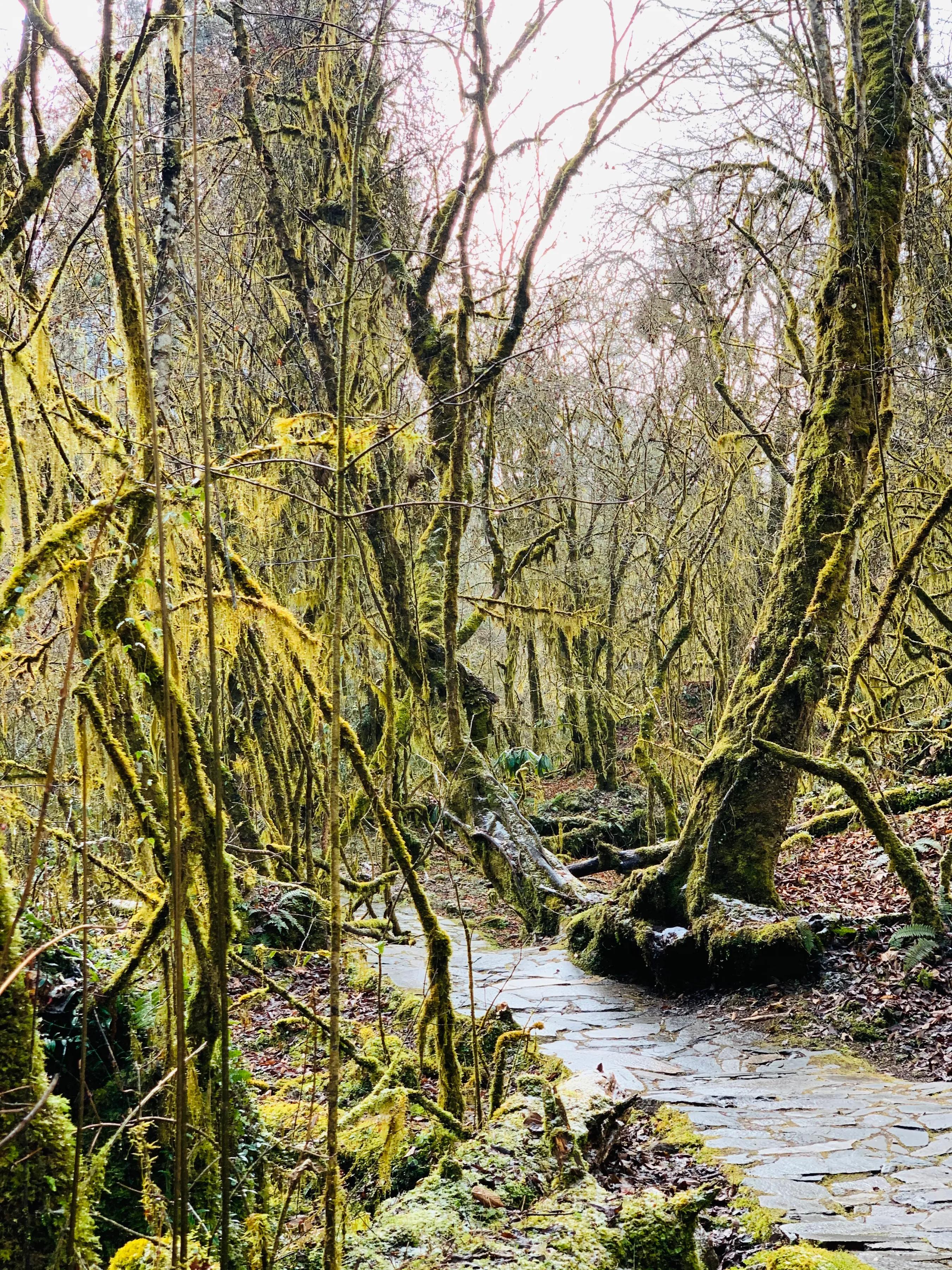 海螺沟燕子沟旅游攻略,海螺沟和燕子沟哪个更值得去
