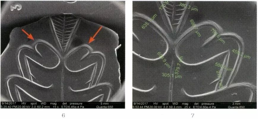 徐州狮子山楚王陵玉器,狮子山楚王出土玉器