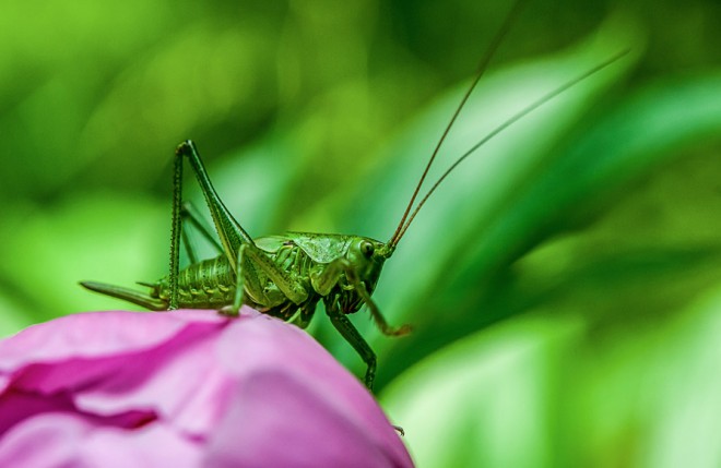 摄影是一门技术吗,摄影的十大精髓
