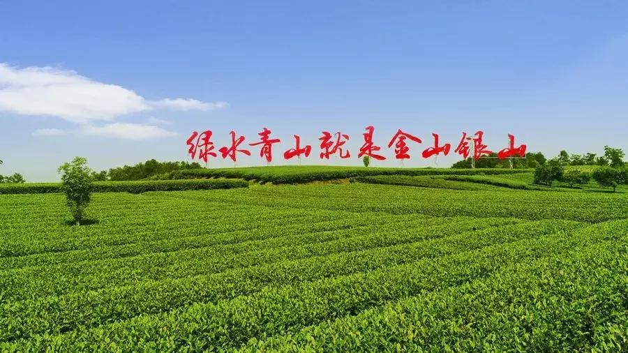 春节假期，小蒲君出几道题目，考考您！用知识防逼婚