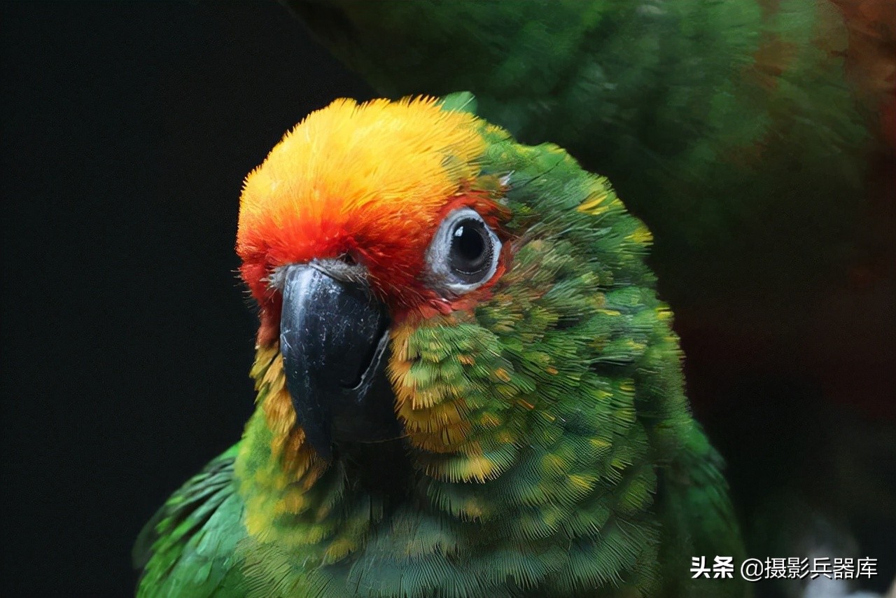 佳能eosr跟rp哪个好,佳能eosrp深度测评