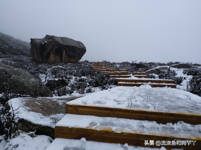 年保玉则现在开放了吗,年保玉则为啥被封