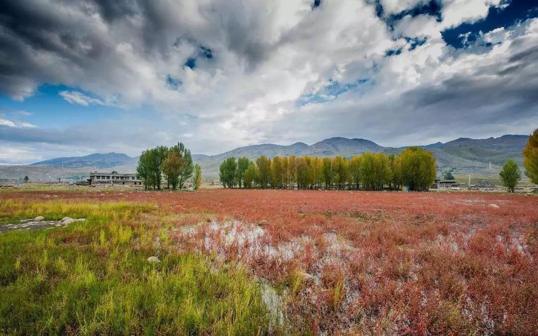 稻城亚丁白云,稻城亚丁风景没有想象中的那么美