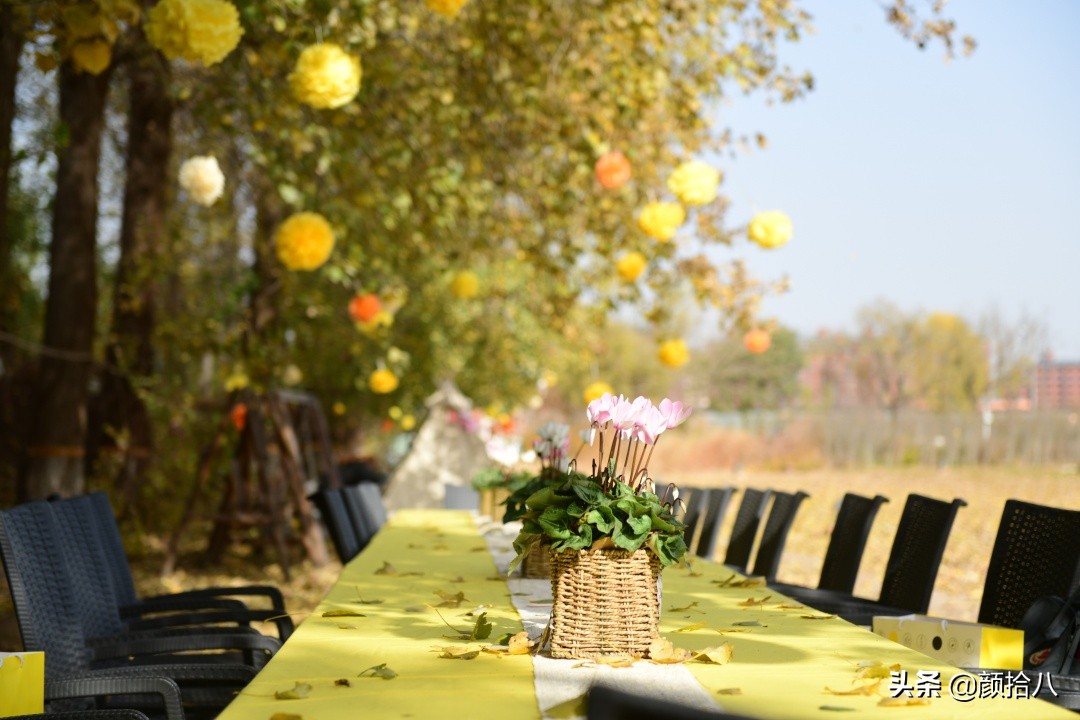 没有比利时花园游，来点比利时啤酒吧|随笔