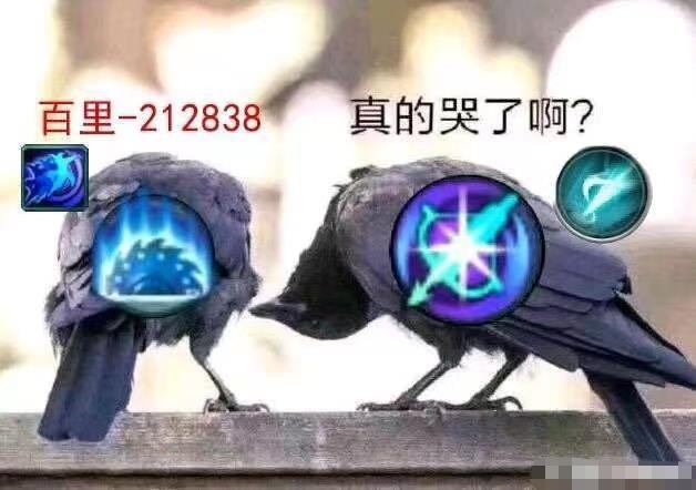 剑网三剑气内战,剑网3剑气组合怎么样