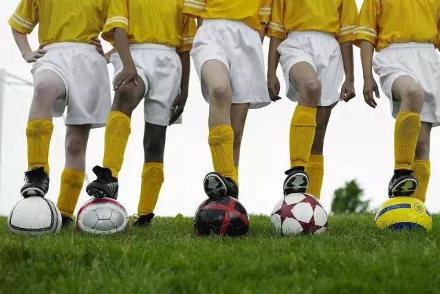 粤港澳大湾区足球超级联赛,粤港澳大湾区青少年篮球联赛冠军