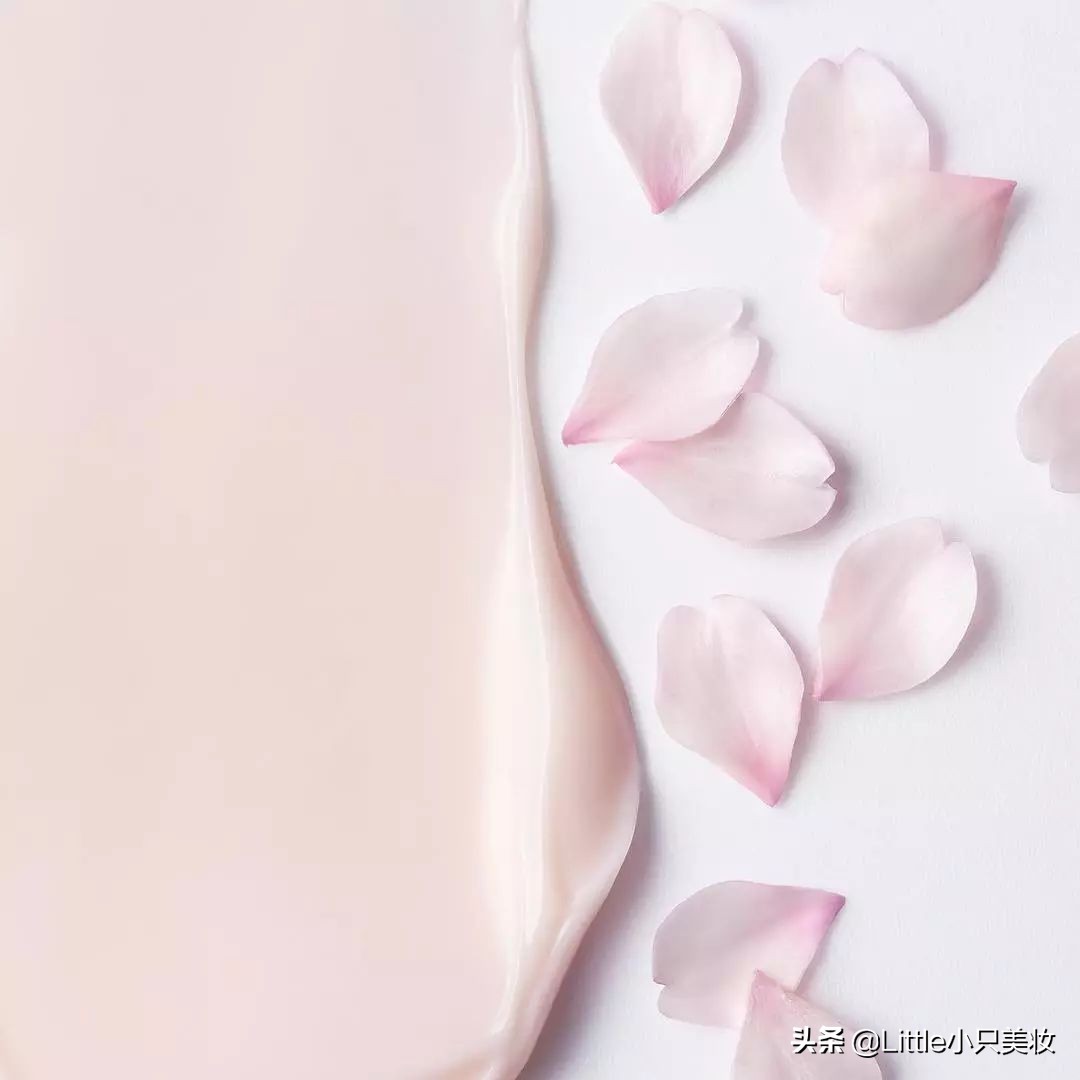 抢不到星爸爸猫爪杯？这些樱花限定照样美到犯规！