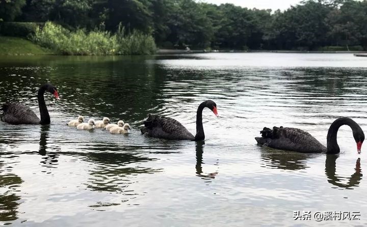 华为国内八大研究所介绍,华为八大研究所都在哪里