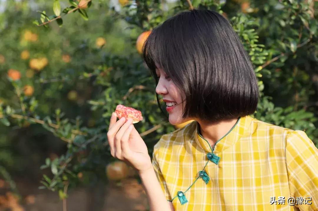 荥阳市软籽石榴基地在哪里,荥阳的软籽石榴基地在什么地方