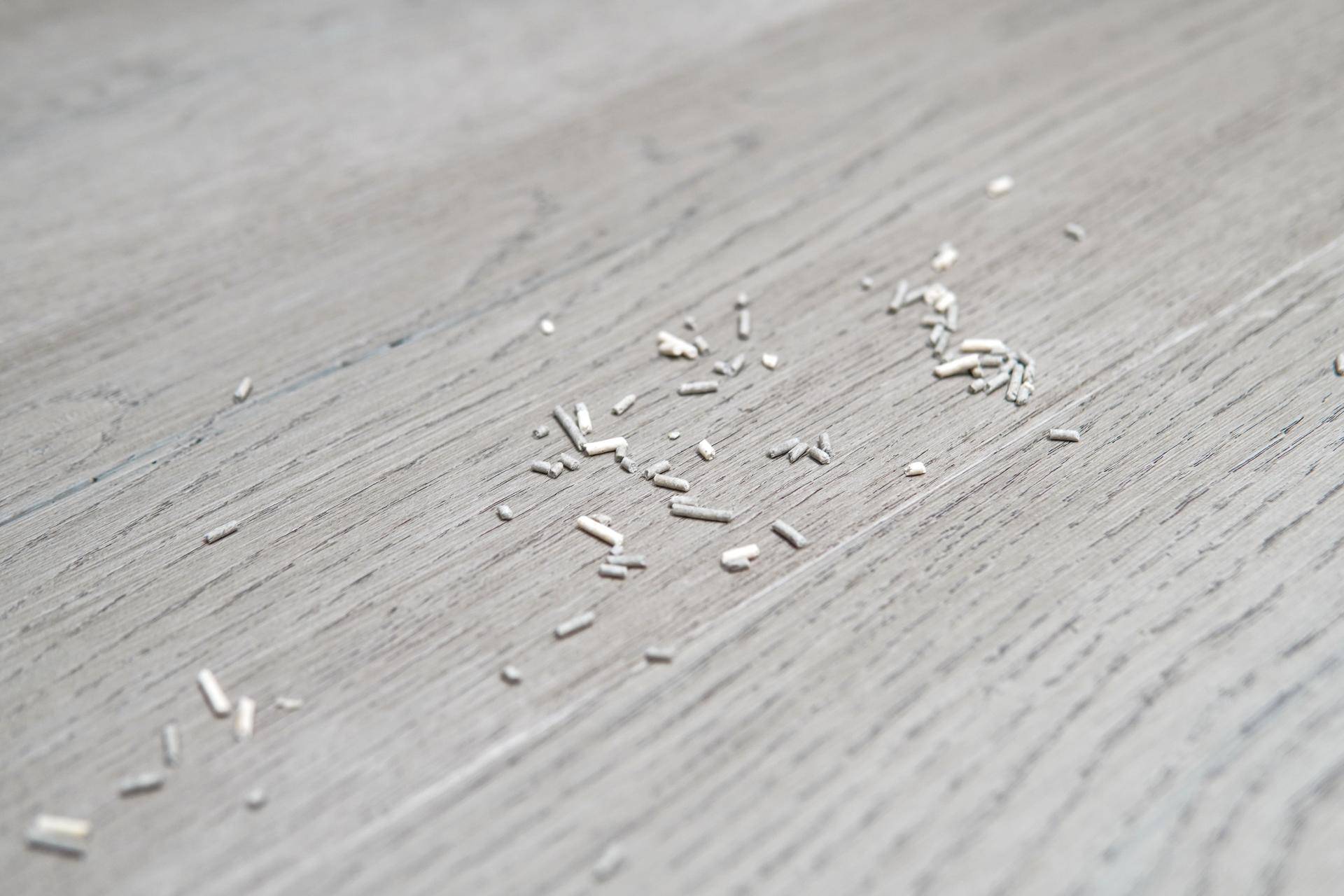 能扫能拖还能除菌?科沃斯地宝DEEBOTN8PRO评测