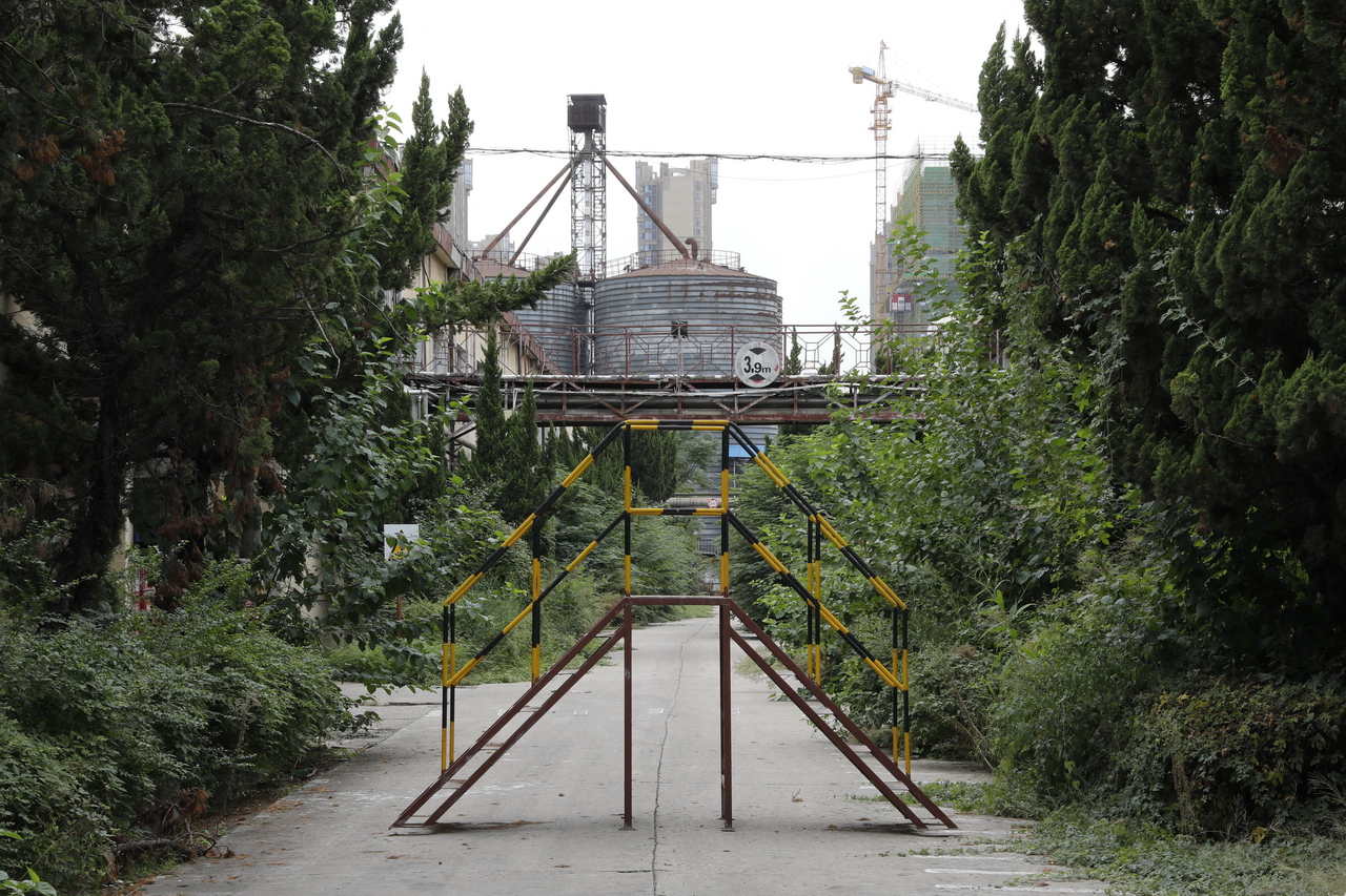 武汉东西湖产的雪花啤酒,东西湖雪花啤酒厂2015年