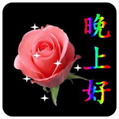 用蝉的鸣叫陪你对着星空遥望，用一声问候催你早入梦乡，晚安！