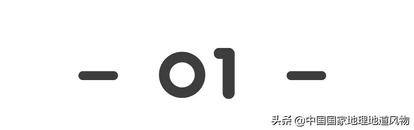 想不到！一粒小麦竟这样改变了中国