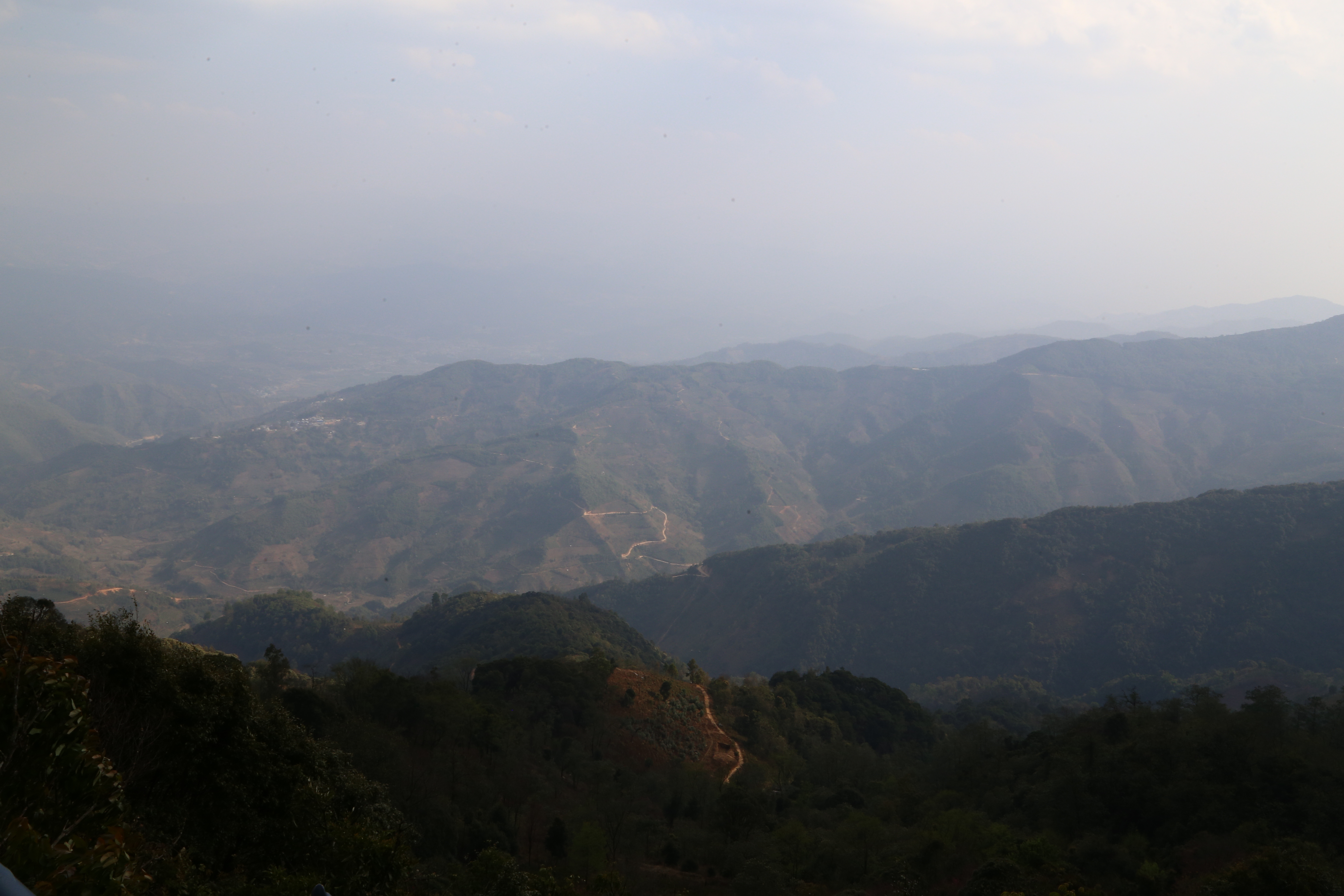 普洱茶六大名山头茶的特点,马鹿山普洱茶的特点介绍