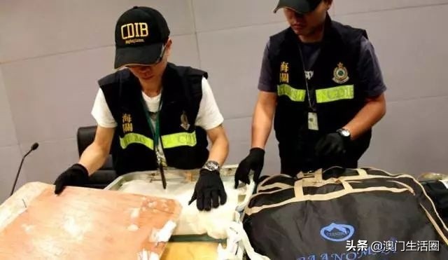 海关禁止带什么,澳门海关入境携带物品最新政策