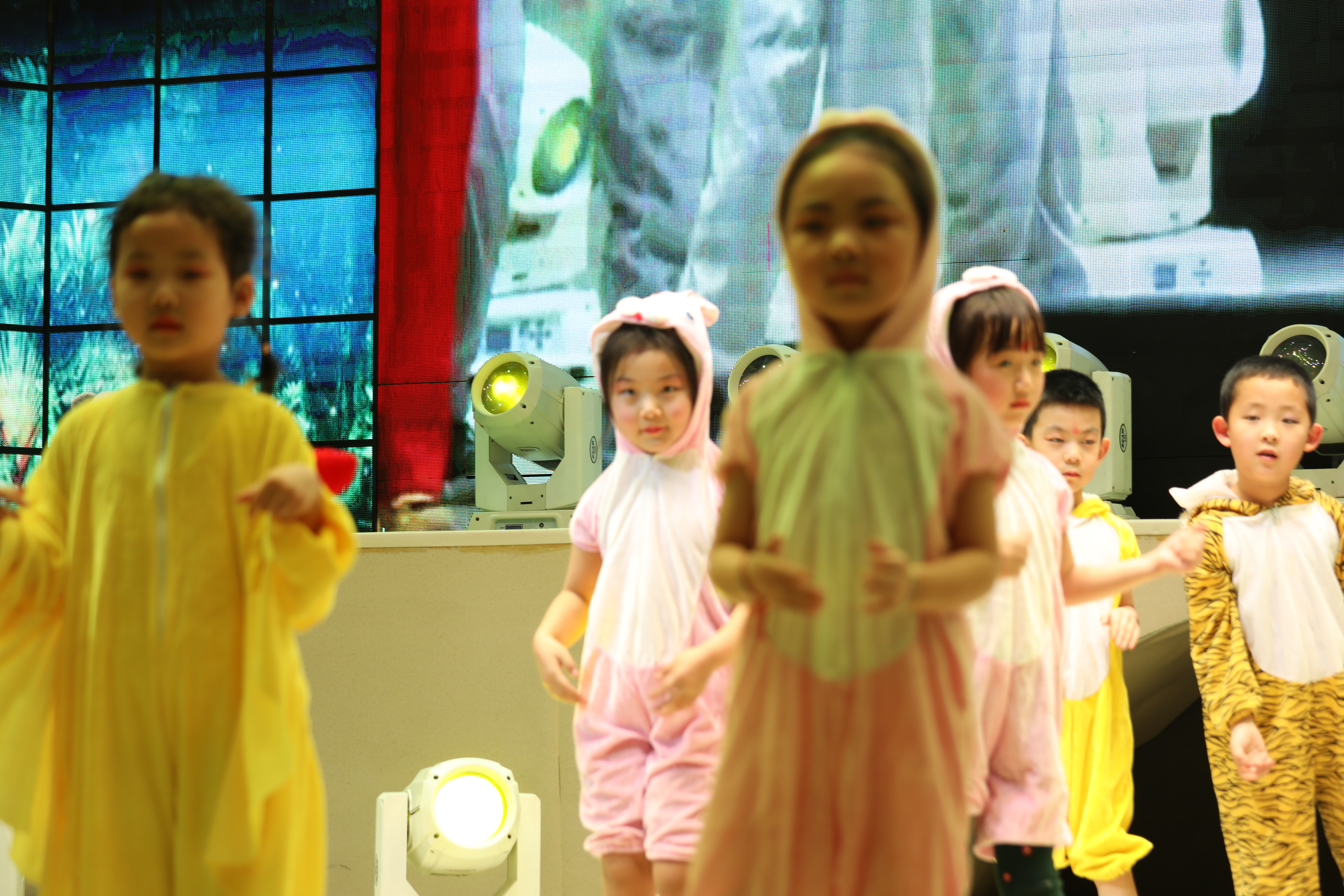 星星幼儿园第一届亲子活动,星星幼儿园亲子运动会