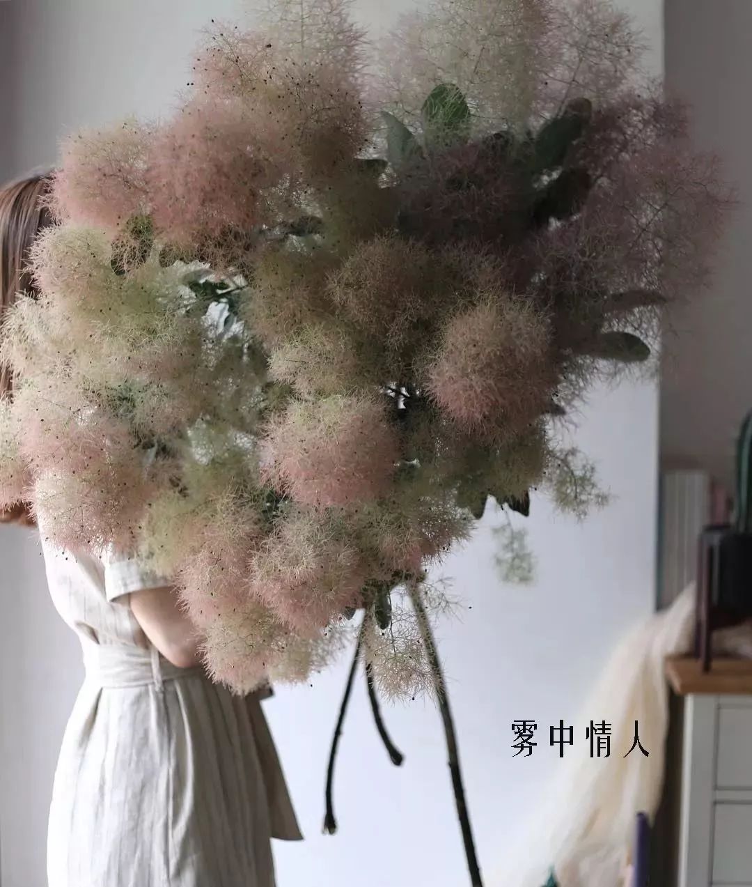 鲜花店常见花材品种大全,花店里同款的两种不同价格的花材