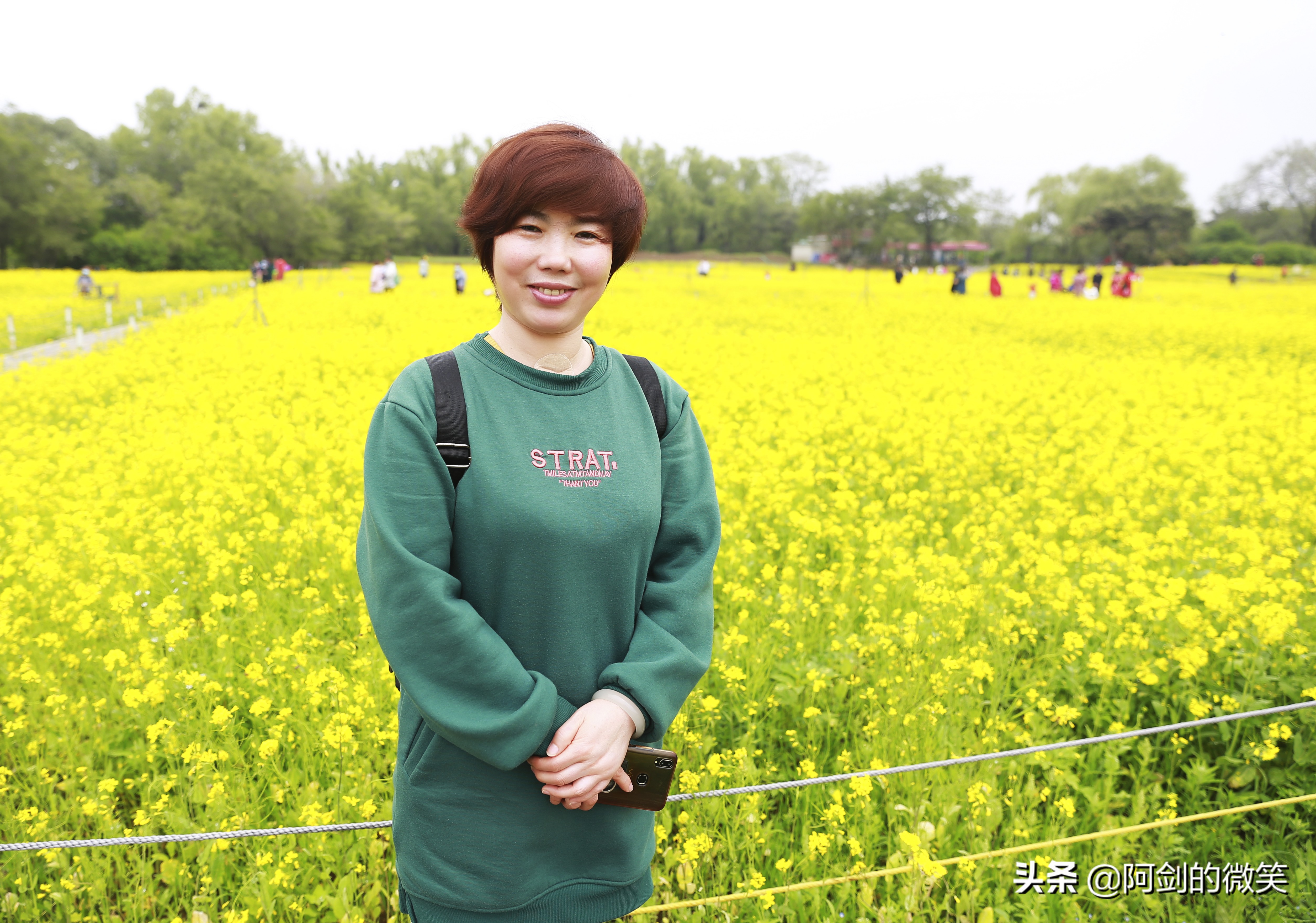 沈阳十一假期哪里有花海,沈阳玫瑰小镇温泉花海两日游