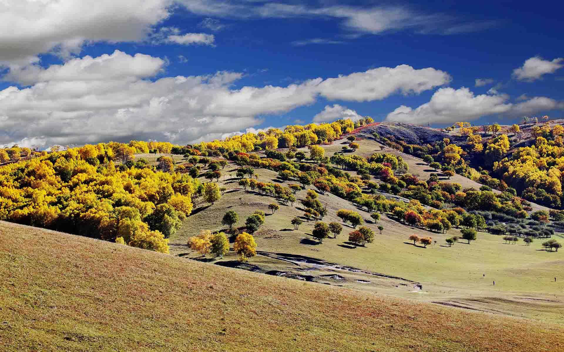 马致远《天净沙秋思》情景交融,如何解读马致远天净沙秋思