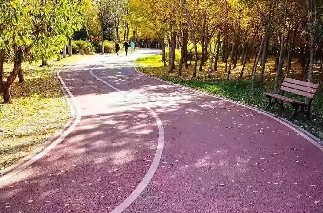 望京体育公园好去处,适合游玩健身的好去处