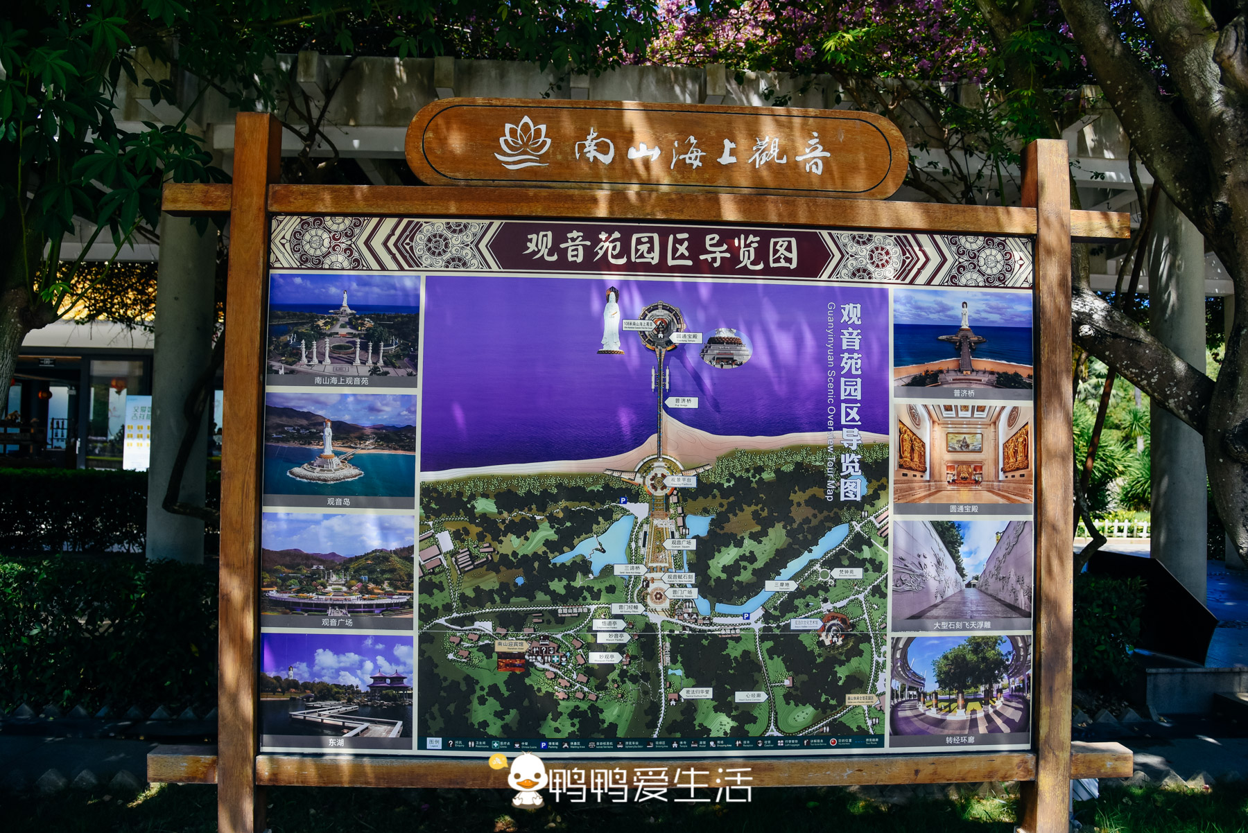 最大的白衣观音像在哪里,世界最高的白衣观音圣像在哪里