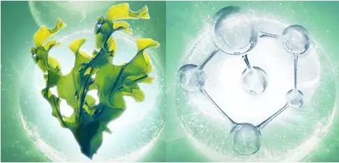 去眼纹去黑眼圈用什么方法,去眼袋黑公认最好用的土方法