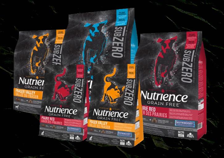 萨摩耶哪个牌子狗粮好一点,幼犬萨摩耶吃干狗粮好还是湿狗粮