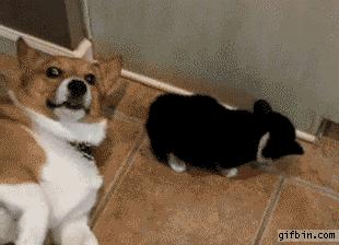 用擦屁屁的“卷纸”擦嘴巴,你真的不担心病从口入吗?