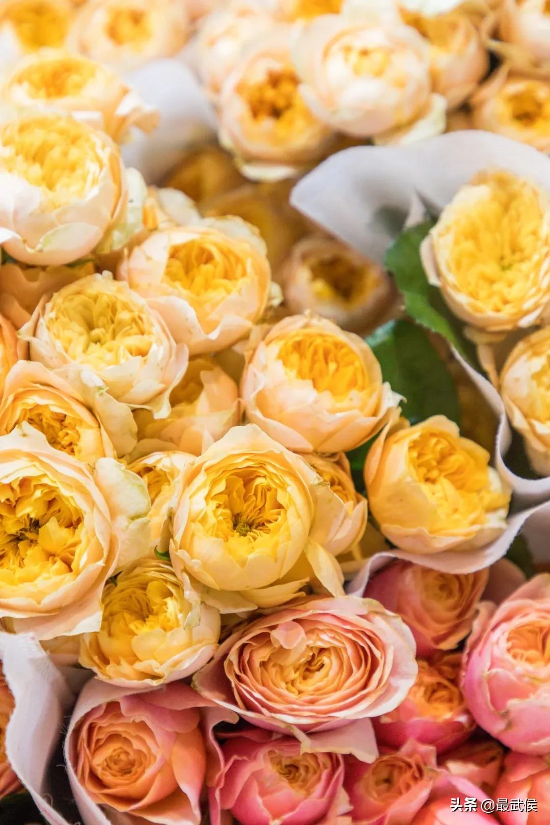 超便宜！成都铁轨下的花市5元买回一个春天！