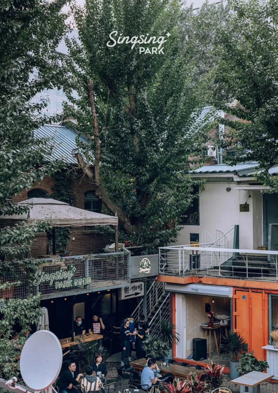 沈阳的年轻人都去哪儿玩儿,沈阳适合失意的人去哪里玩