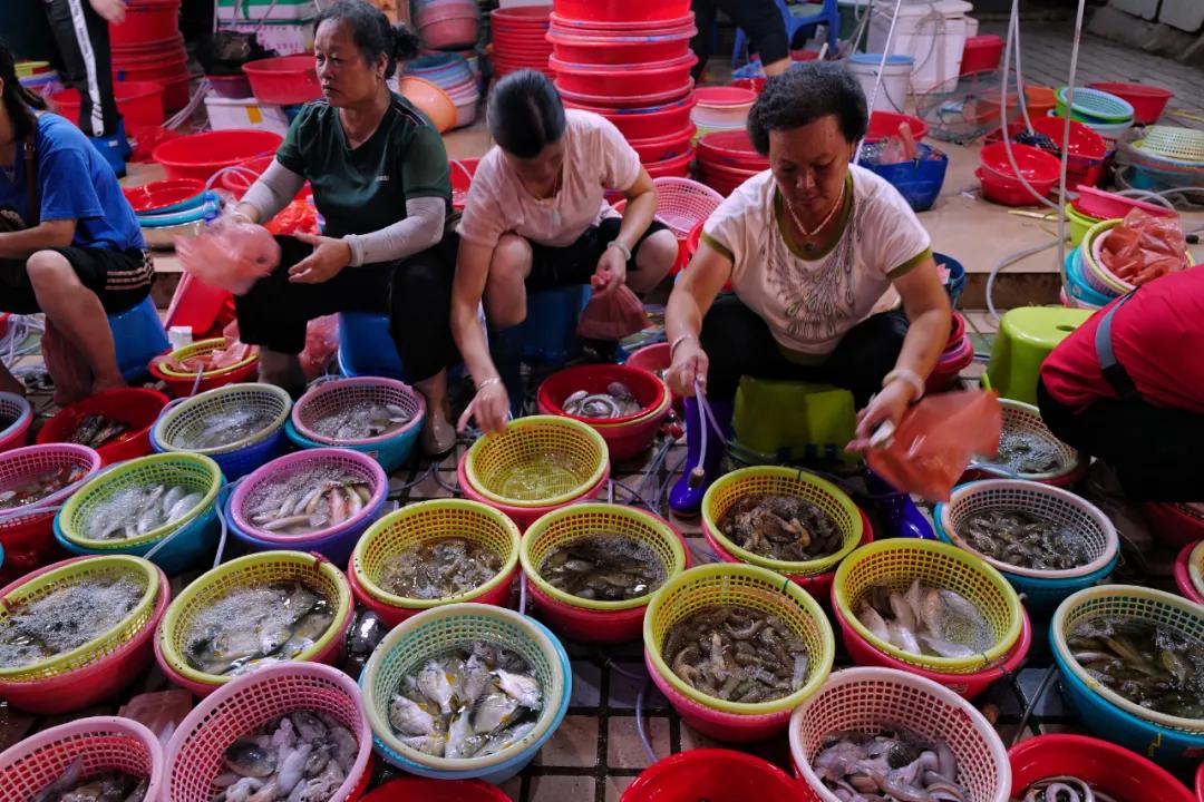 亲自去看海,第一次来到汕尾