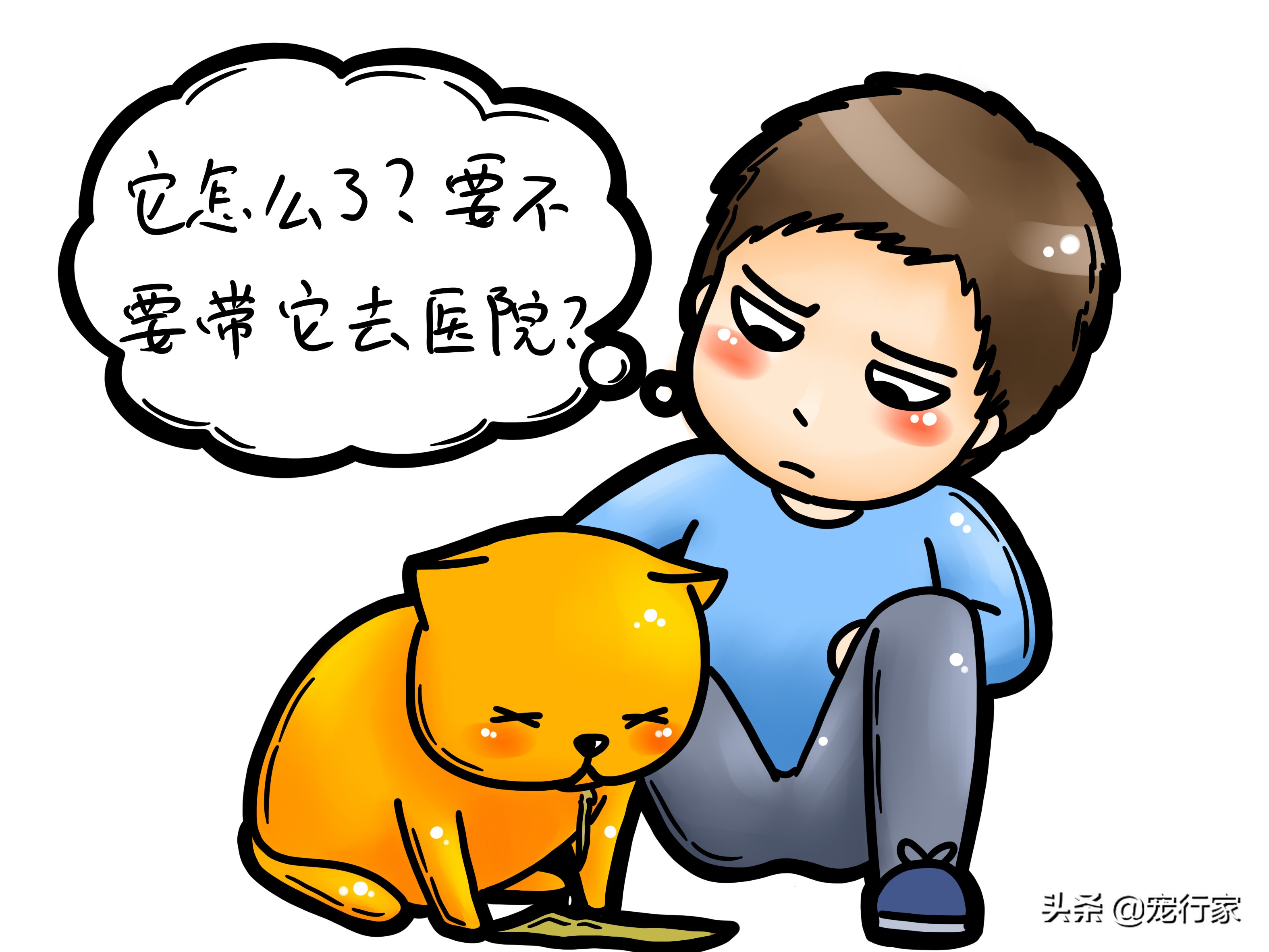 猫为什么会呕吐？如果我家猫呕吐了，我该怎么办？