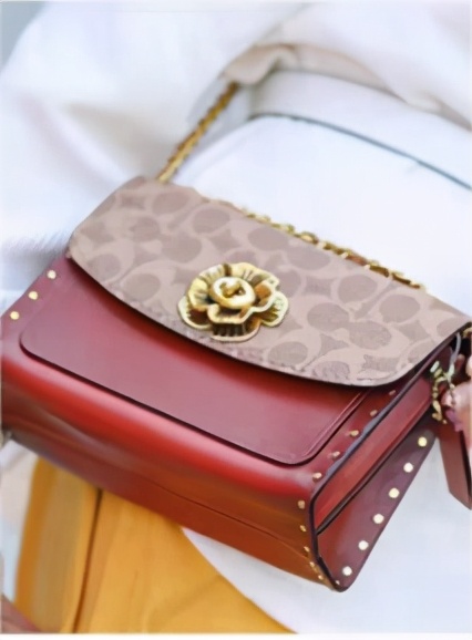 蔻驰的哪款包包最经典,蔻驰的包包哪个系列最好