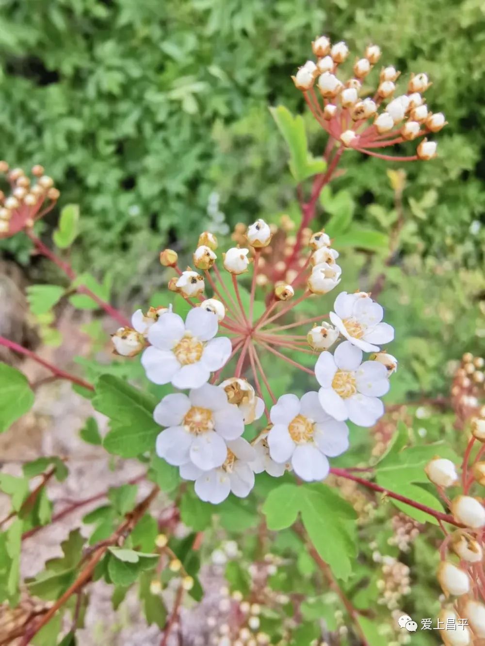 昌平风景区游玩攻略图,北京昌平十大必去的旅游景点推荐