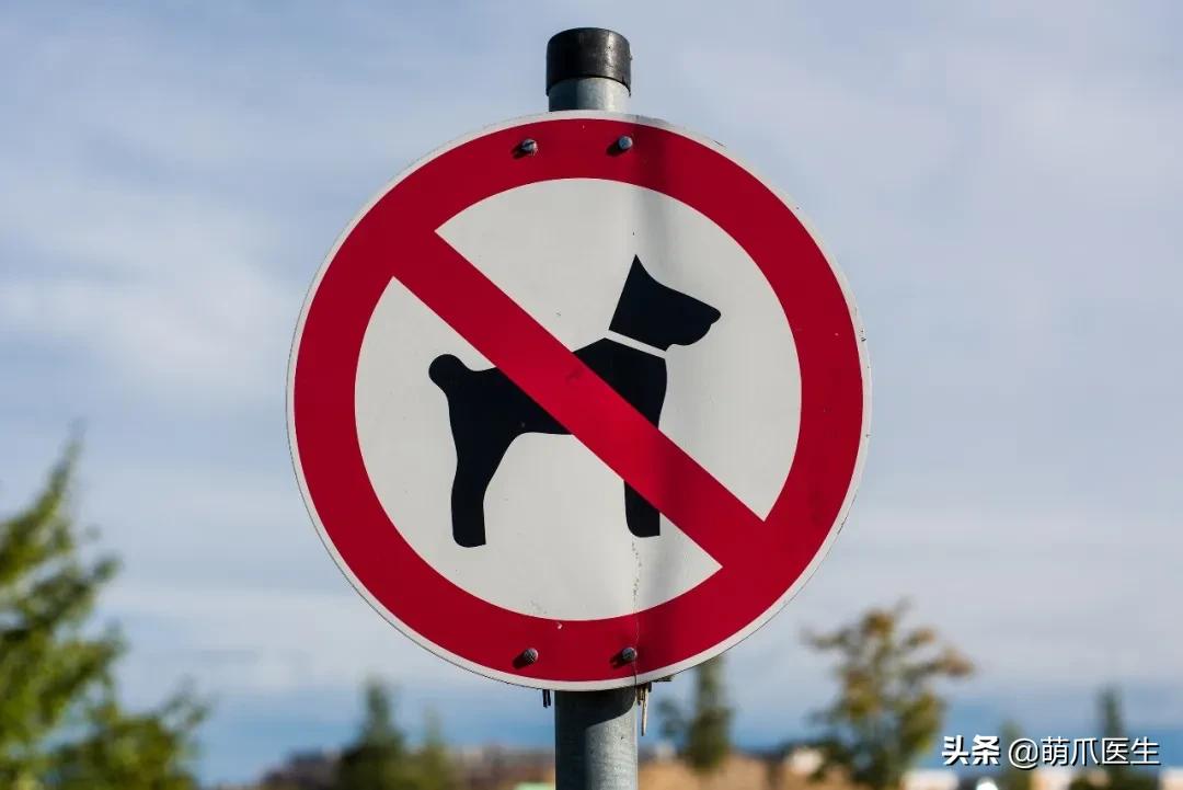 鐚吇浜虹被,鐚吇鍏殑绮樹汉杩樻槸姣嶇殑绮樹汉