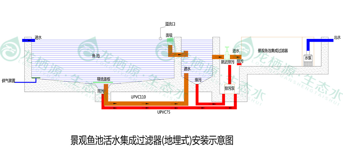 锦鲤鱼池过滤系统推荐,锦鲤鱼池过滤系统的施工过程