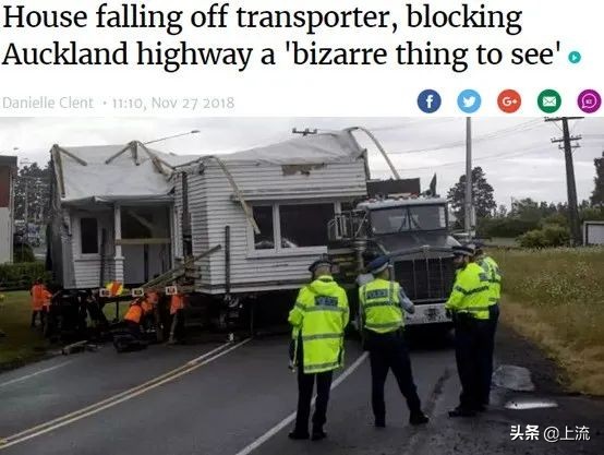 看了一次新西兰式硬核搬家，租房青年悟了