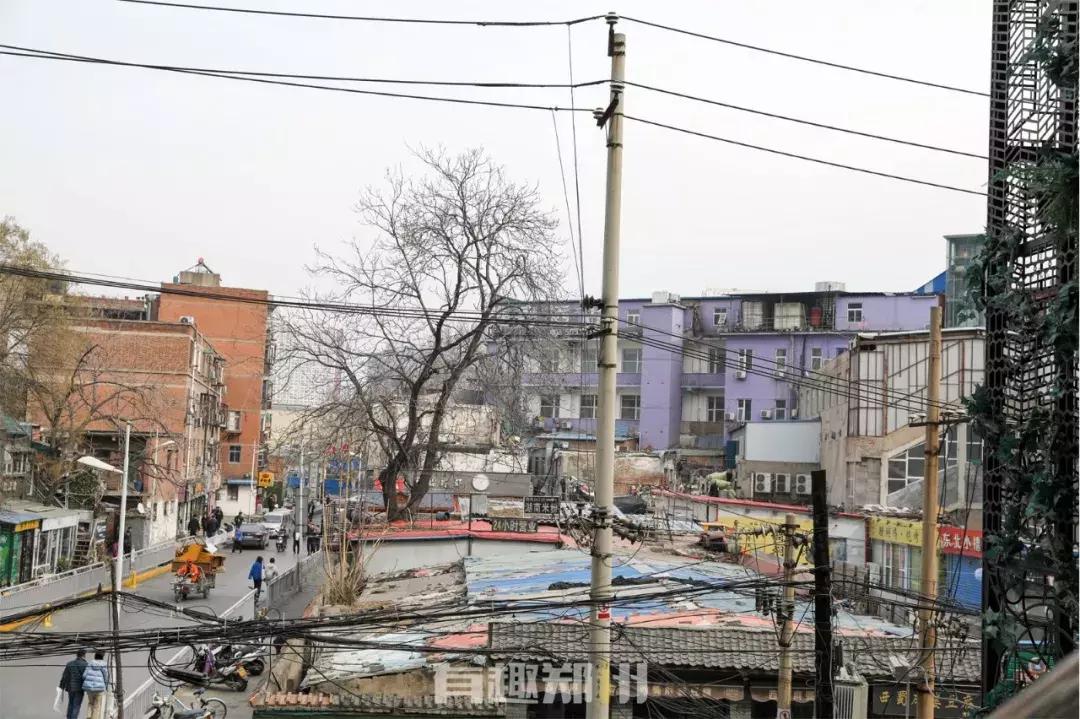 12岁看上去很老,12岁了还没长大