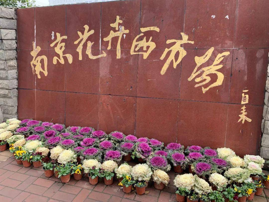 南京十大花鸟批发市场,南京最全的花卉市场