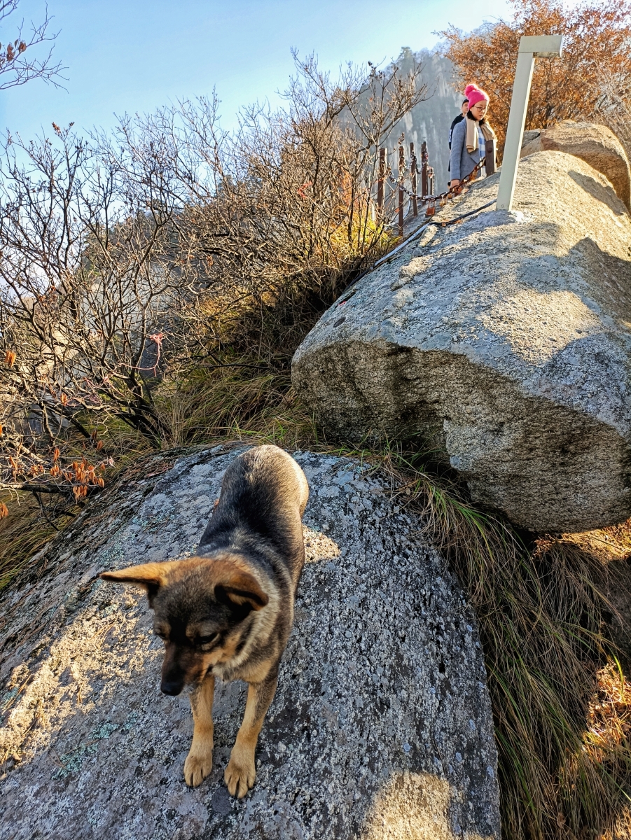 华山二日游登山攻略路线图,陕西自由行夜爬华山