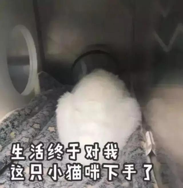 祛痘医美项目真实效果,祛痘印的医美项目对比