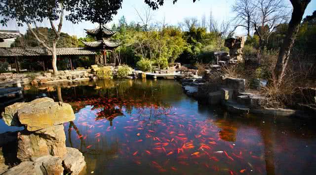 江苏园林旅游攻略,江苏有哪些免费园林景区