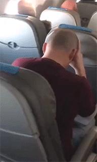 孔雀开屏搞笑动图,孔雀开屏搞笑gif