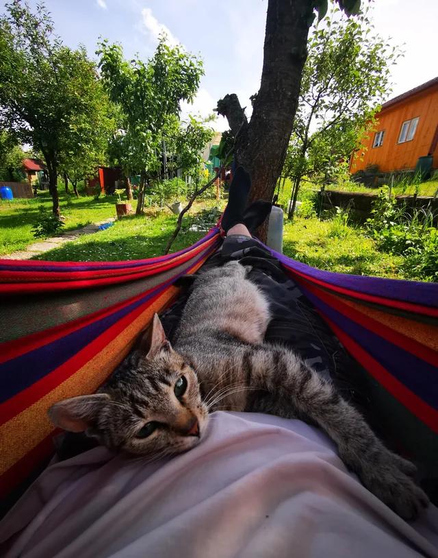 世界上最美的角落,最让人舒服的角落