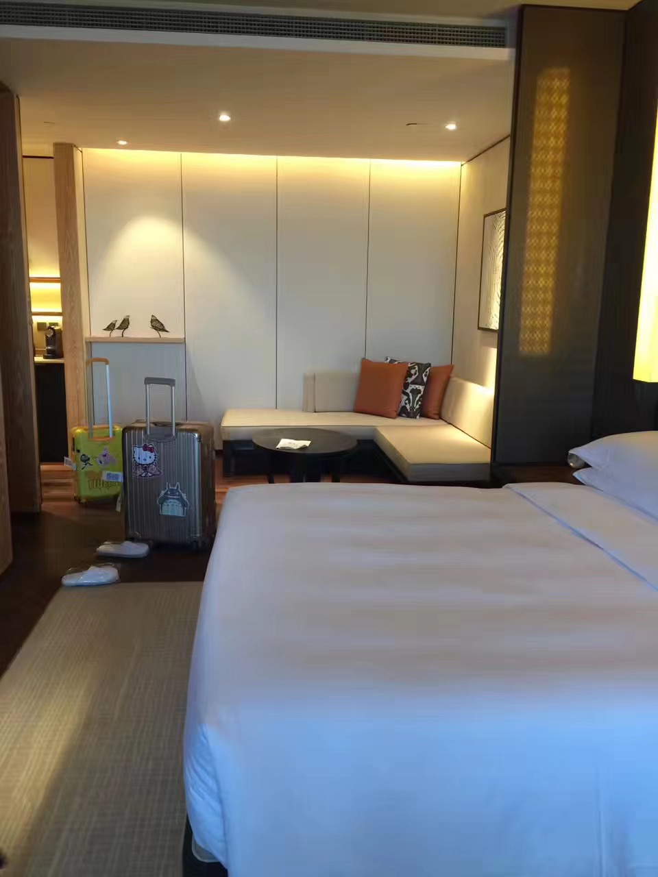 海棠湾便宜的亲子民宿,三亚海棠湾万丽度假酒店亲子