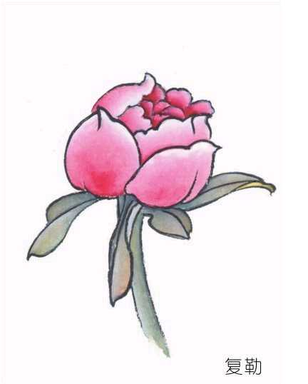 工笔画染染的正确方法,工笔画的分染步骤与技巧知识