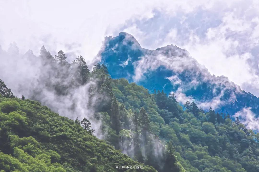 李子柒家乡成旅游景点,李子柒乡愁