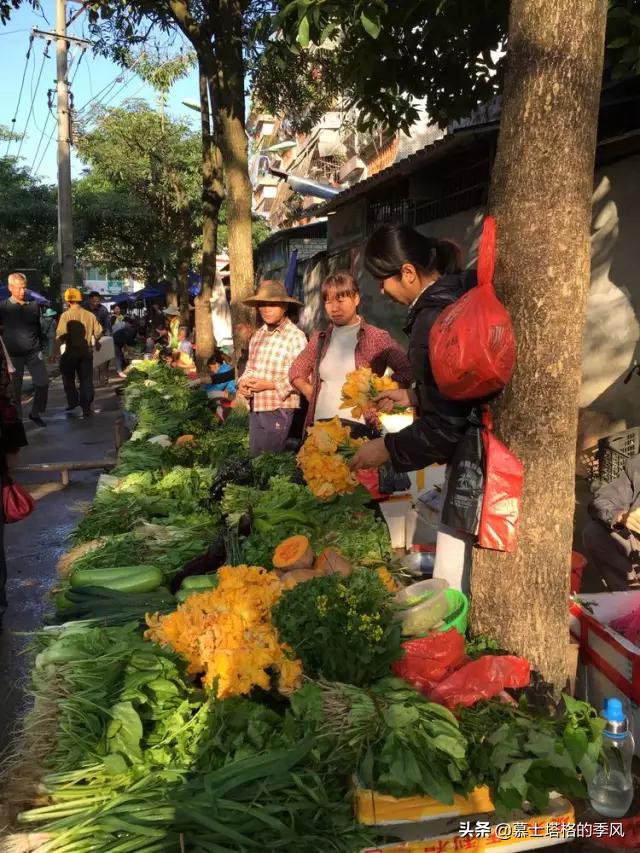 海南最便宜的养老小镇,海南被低估的县