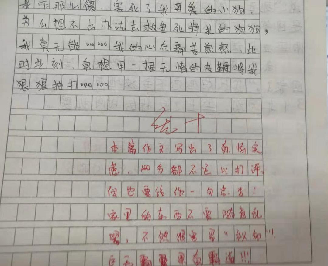 小学生心酸作文,小学生作文老师看完都哭了